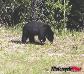 Motorcycle-Mojo_38_Alaska